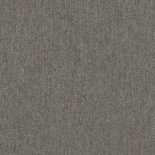 Picture of Philadelphia Commercial by Shaw - Profusion Plenitude