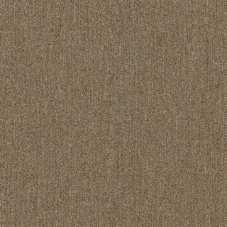 Picture of Philadelphia Commercial by Shaw - Profusion Ample