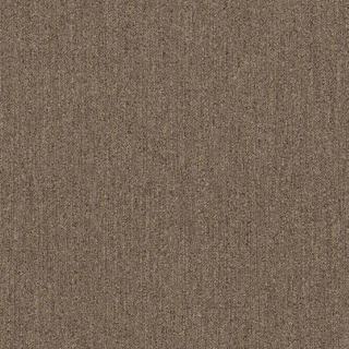 Picture of Philadelphia Commercial by Shaw - Profusion Excess