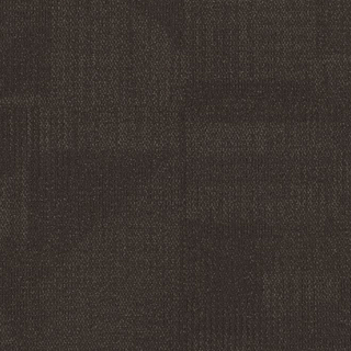 Picture of Philadelphia Commercial by Shaw - Reemerge Alter