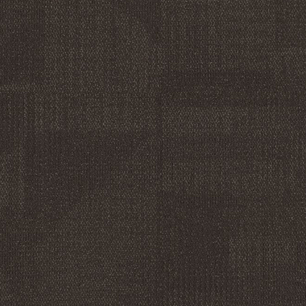 Picture of Philadelphia Commercial by Shaw - Reemerge Alter