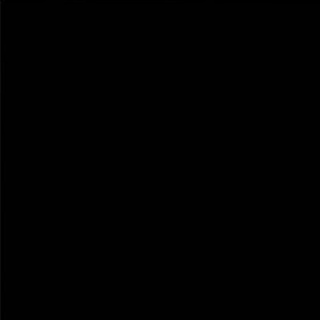 Picture of Shaw Floors - Diva 24 x 24 Black