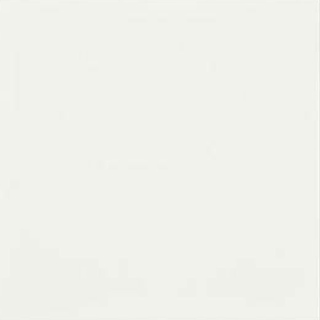 Picture of Shaw Floors - Diva 24 x 24 White