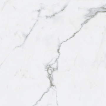 Picture of Roca - Bianco Venatino II 24 x 24 Polished Bianco Venatino