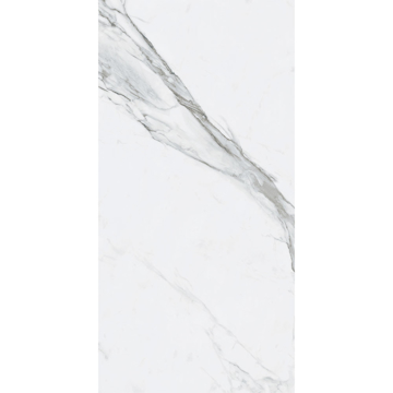 Picture of Roca - Bianco Venatino II 24 x 48 Polished Bianco Venatino