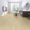 Picture of BHW Floors - Sawatch Euclid
