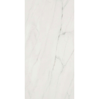 Picture of Shaw Floors - Maximus 12 x 24 Carrara