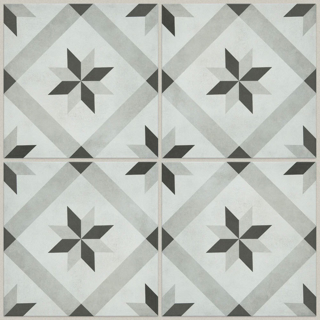 Picture of Shaw Floors - Renee Maria Opal