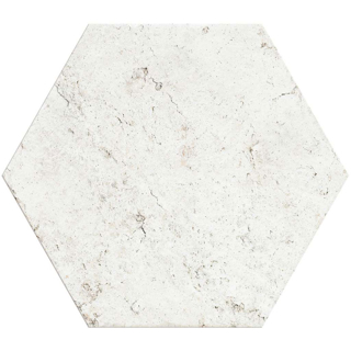 Picture of Shaw Floors - San Francisco Hexagon Presidio