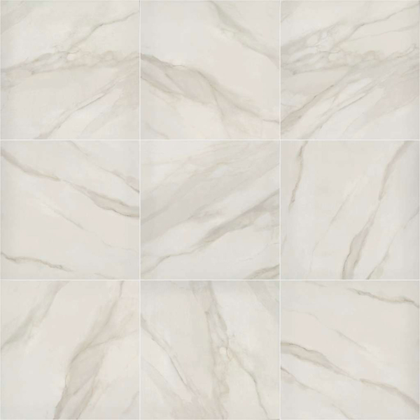 Picture of Shaw Floors - Serene 24 x 24 Matte Bianco Covelano