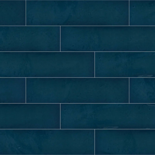 Picture of Shaw Floors - Stewart 4 x 16 Blue