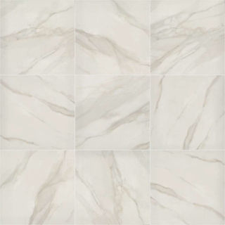 Picture of Shaw Floors - Tranquility 24 x 24 Matte Bianco Covelano