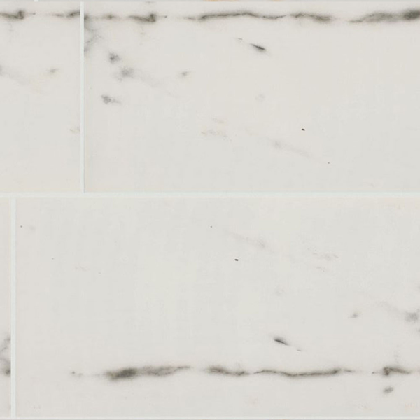 Picture of Shaw Floors - Universe 12 x 24 Haro