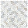 Picture of Elon Tile & Stone - Silhouette Mosaics Bianco Oro White Thassos Crema Marfil Honed