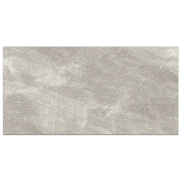 Picture of Elon Tile & Stone - Nuance 12 x 24 Grey Semi Polished