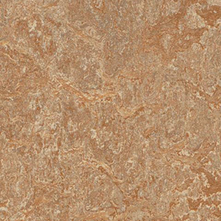 Picture of Forbo - Marmoleum Cinch Loc Seal 12 x 12 Shitake