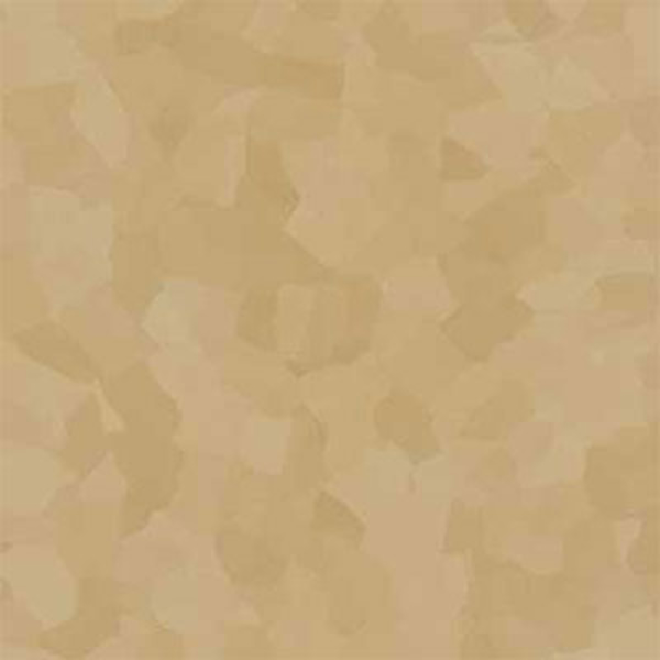 Picture of VPI Corp. - PRT Earthtones Field Colors 12 x 12 African Granite