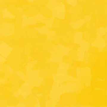 Picture of VPI Corp. - PRT Earthtones Feature Strip 2 x 24 Lemon Rock