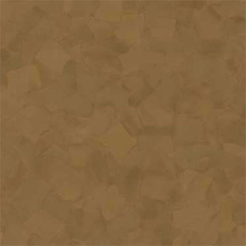 Picture of VPI Corp. - PRT Earthtones Feature Strip 2 x 24 Salvador Brownstone