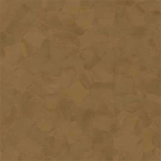 Picture of VPI Corp. - PRT Earthtones Feature Strip 2 x 36 Salvador Brownstone