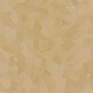 Picture of VPI Corp. - PRT Earthtones Feature Strip 5 x 24 African Granite
