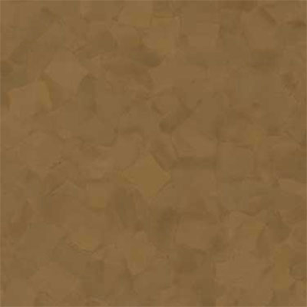 Picture of VPI Corp. - PRT Earthtones Feature Strip 5 x 24 Salvador Brownstone