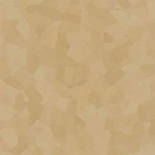 Picture of VPI Corp. - PRT Earthtones Feature Strip 5 x 36 African Granite
