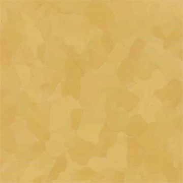 Picture of VPI Corp. - PRT Earthtones Feature Strip 5 x 36 Grand Canyon Yellow
