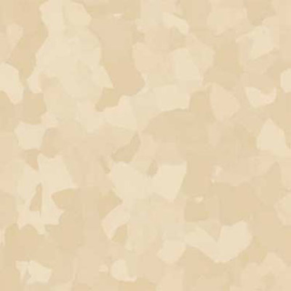 Picture of VPI Corp. - PRT Earthtones Feature Strip 5 x 36 Inca Stone