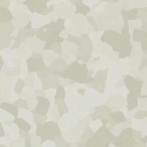 Picture of VPI Corp. - PRT Earthtones Feature Strip 6 x 24 Alaskan Diamond