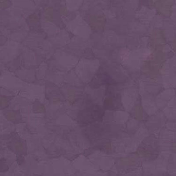 Picture of VPI Corp. - PRT Earthtones Feature Strip 6 x 24 Aztec Amethyst