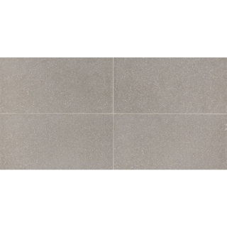 Picture of American Olean - Neospeck 12 x 24 Light Gray MT