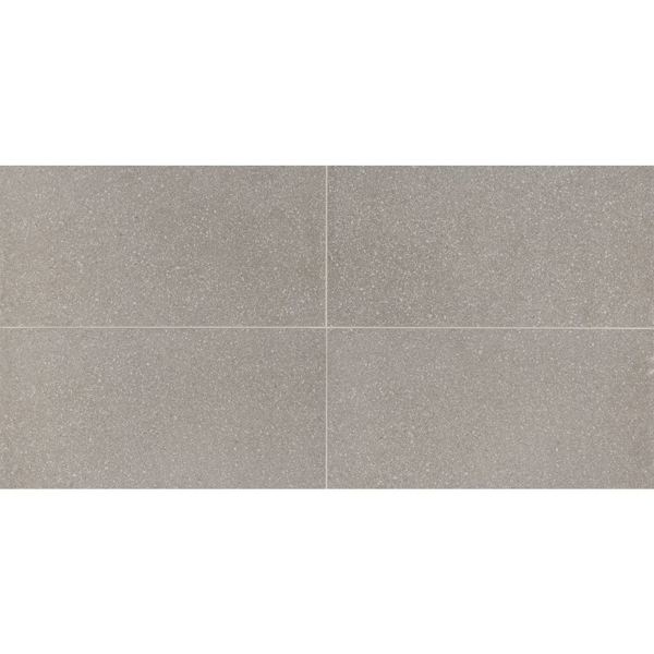 Picture of American Olean - Neospeck 12 x 24 Light Gray MT