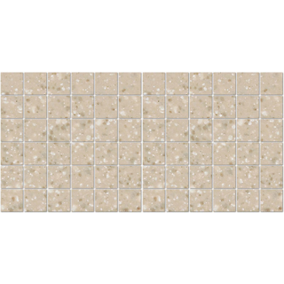 Picture of American Olean - Unglazed ColorBody Mosaic 2 x 2 Abrasive Willow Speckle