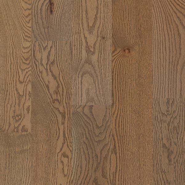 Picture of Mercier - Design Plus Authentic Engineered 6 1/2 Red Oak 3/4 Treasure Matte