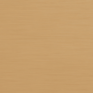 Picture of Johnsonite - Solid Colors Brushed Sisal