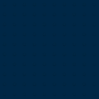 Picture of Johnsonite - Tactile Warning Tile Domes Navy Blue