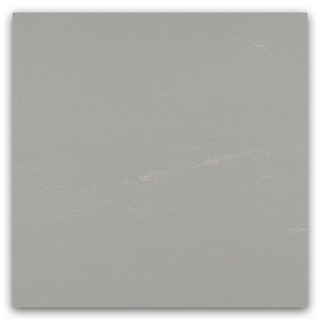 Picture of Johnsonite - Organics 12 x 24 Quartz