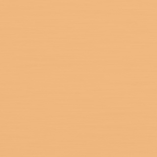 Picture of Johnsonite - Solid Colors Brushed Mr Sunshine
