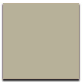 Picture of Johnsonite - Solid Colors Smooth 12 x 12 Beige