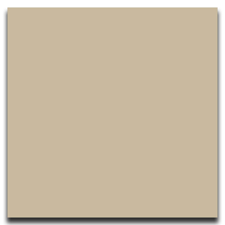 Picture of Johnsonite - Solid Colors Smooth 12 x 12 Clay