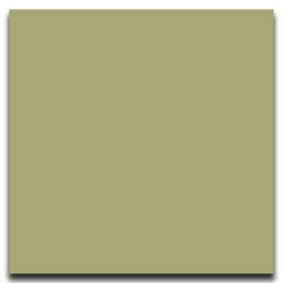 Picture of Johnsonite - Solid Colors Smooth 12 x 12 Iguana