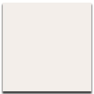 Picture of Johnsonite - Solid Colors Smooth 12 x 12 Mist