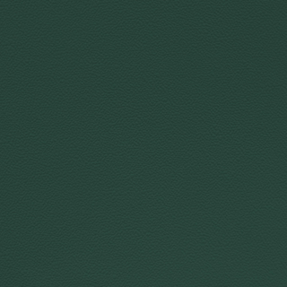 Picture of Johnsonite - Solid Colors Hammered Hunter Green