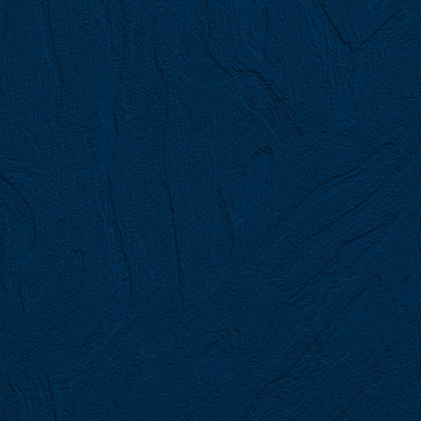 Picture of Johnsonite - Solid Colors Flagstone Navy Blue