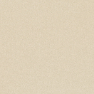 Picture of Johnsonite - Solid Colors Leather Almond