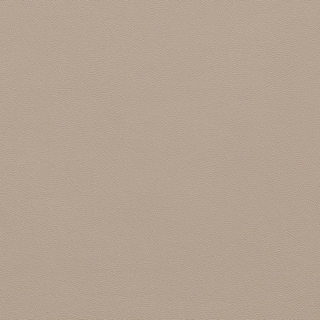 Picture of Johnsonite - Solid Colors Leather Beige