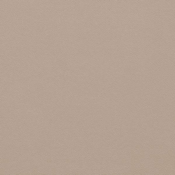 Picture of Johnsonite - Solid Colors Leather Beige