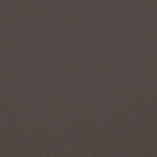 Picture of Johnsonite - Solid Colors Leather Brown