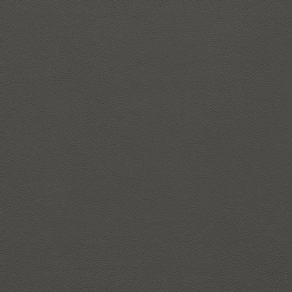 Picture of Johnsonite - Solid Colors Leather Charcoal